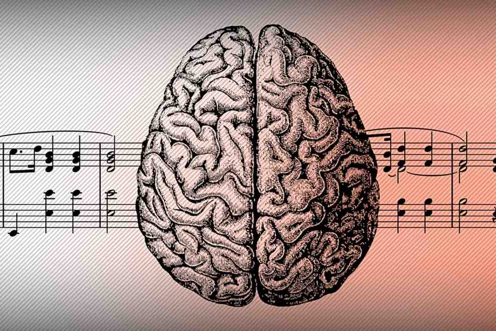 musica cervello connubio intrigante centro psicologia lecco